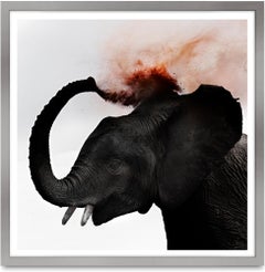 Dust III, Kenya, Éléphant, animal, faune, photographie en couleur, Afrique
