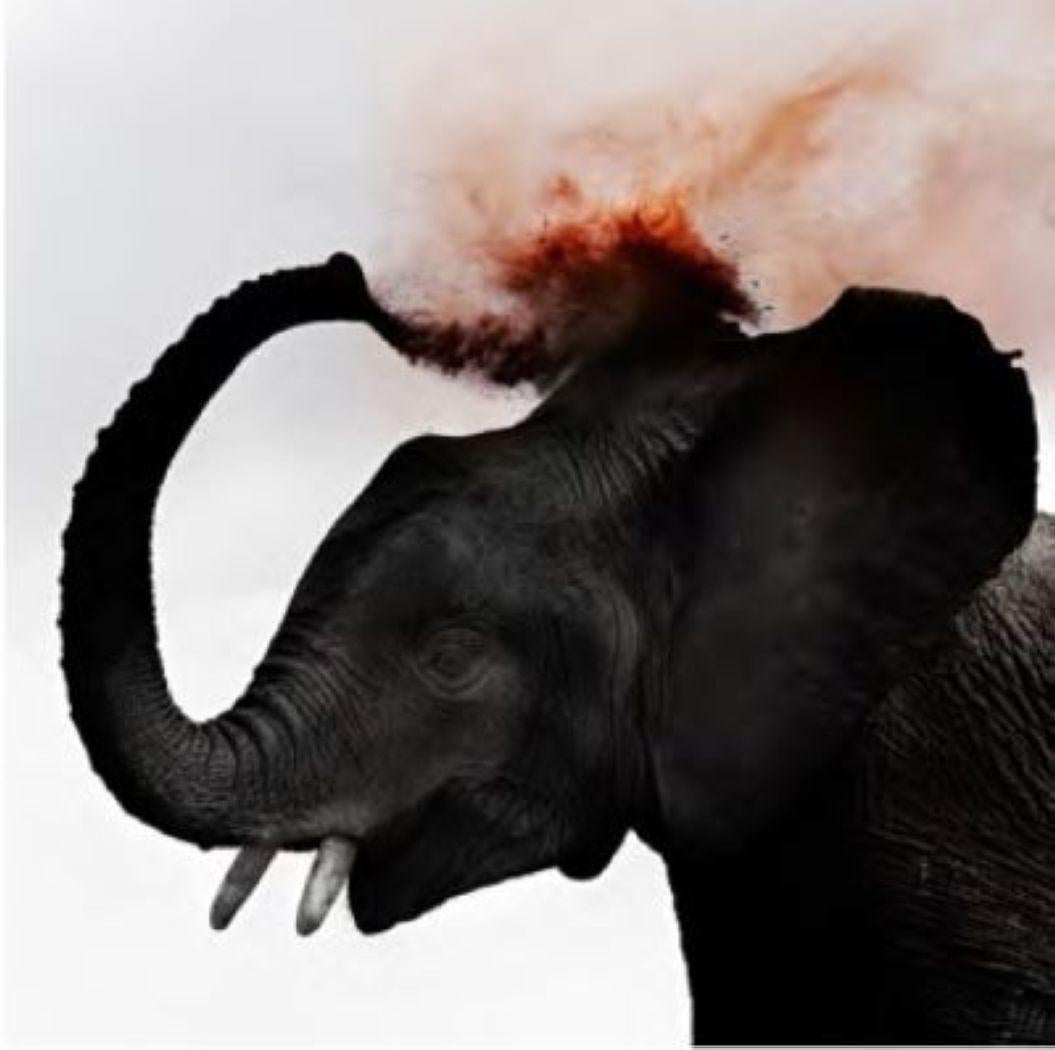 Black and White Photograph di Joachim Schmeisser - Dust III - Giovane elefante che spruzza polvere rossa, Fotografia Fine Art, 2013