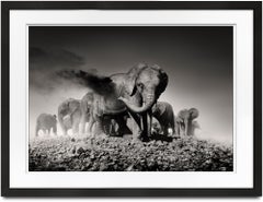 Earth I, animal, wildlife, black and white photography, elephant, africa
