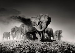Earth I, Kenya, Elephant, Africa, wildlife