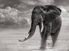 Archival Pigment Black and White Photography