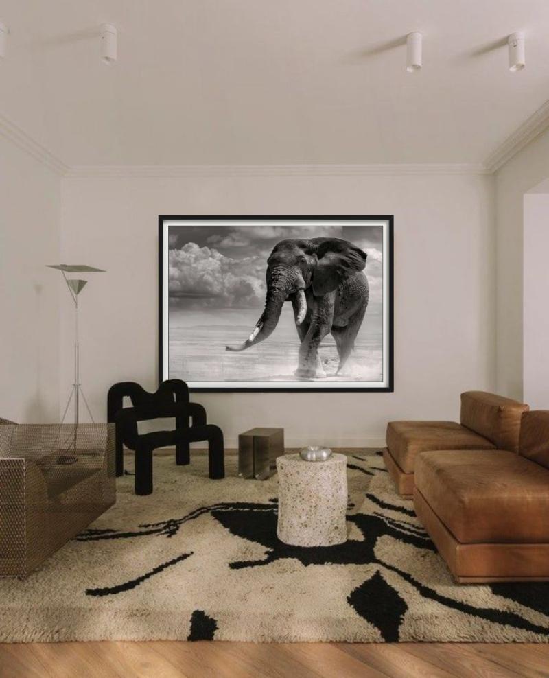ELEPHANT BULL PRIMO - Coming Out Of The Marsh, Fine Art Photography, 1985 en vente 1