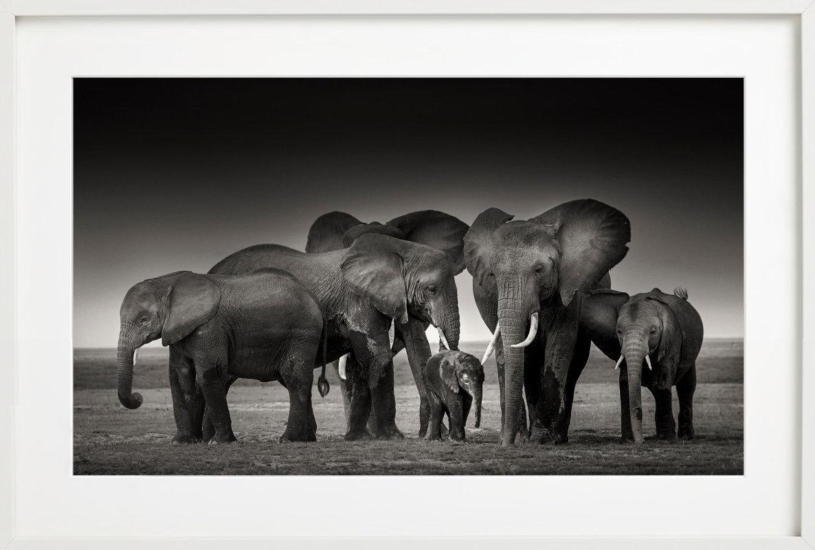 Elephant family in Amboseli photographed by Joachim Schmeisser.

All prints are limited edition. Available in multiple sizes. High-end framing on request. All prints are done and signed by the artist. 

The collector receives an additional
