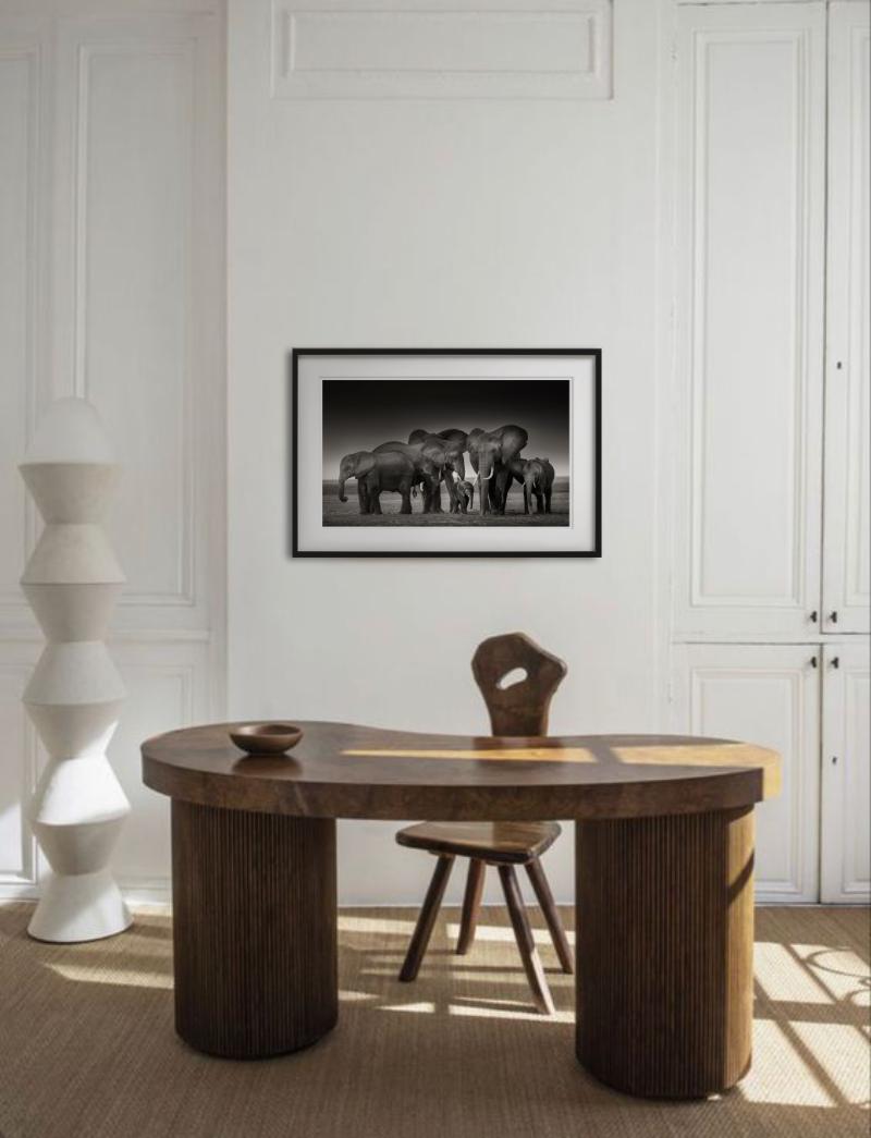 ELEPHANT FAMILY - Amboseli, Fine Art Photography For Sale 2