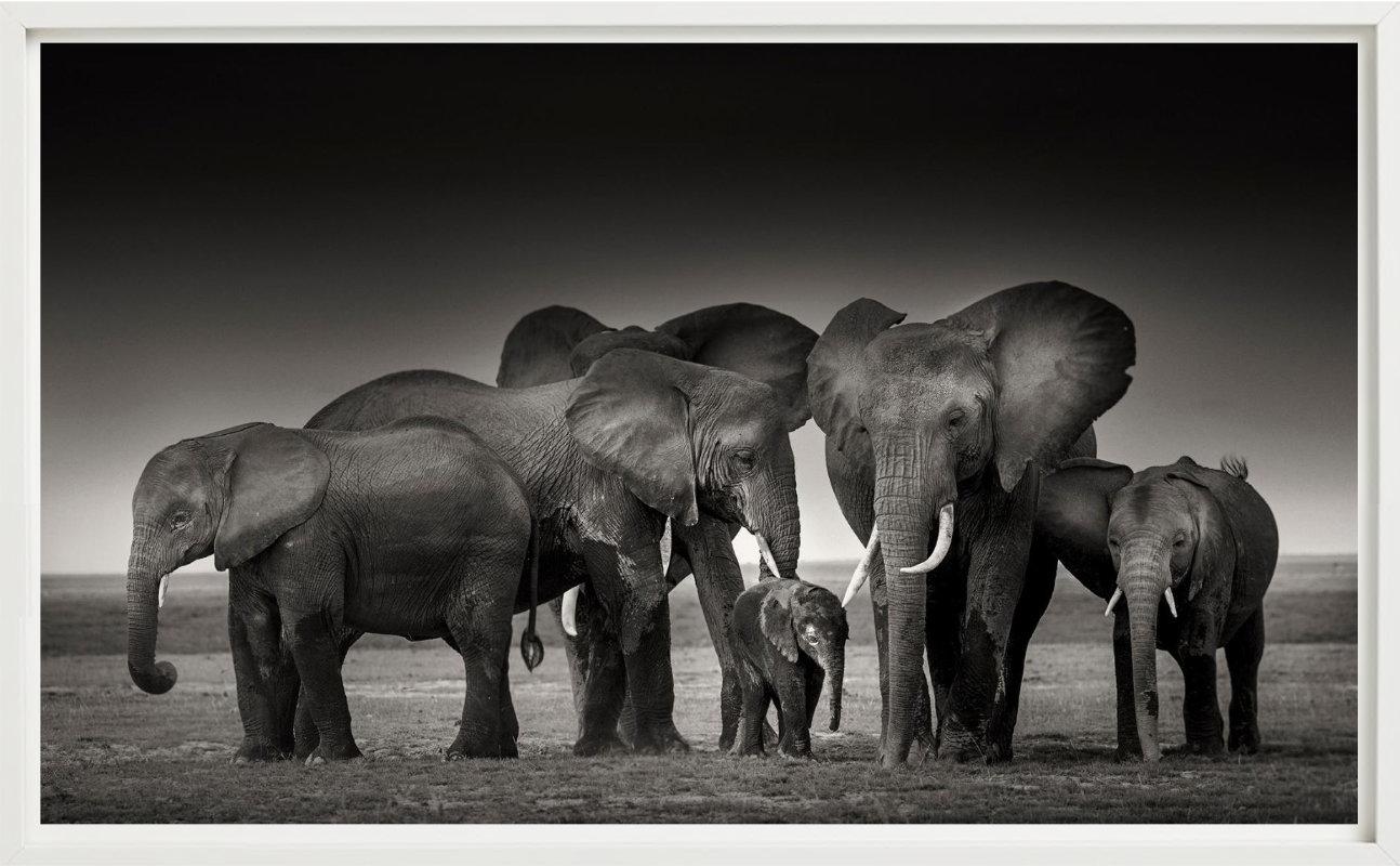 ELEPHANT FAMILY - Amboseli, Fine Art Photography For Sale 6