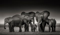 ELEPHANT FAMILY - Amboseli, Wildlife, Fine Art Photography