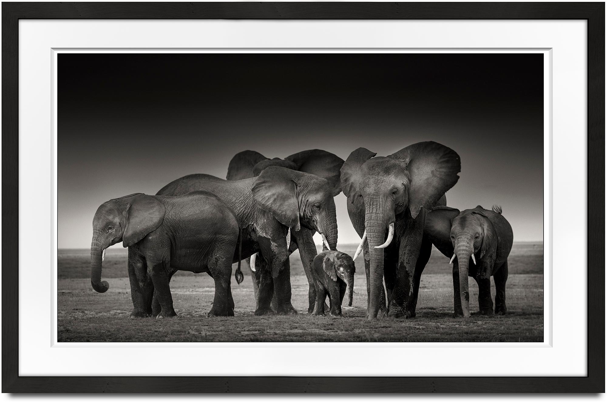 Elephant family in Amboseli, animal, wildlife, black and white photography - Photograph by Joachim Schmeisser