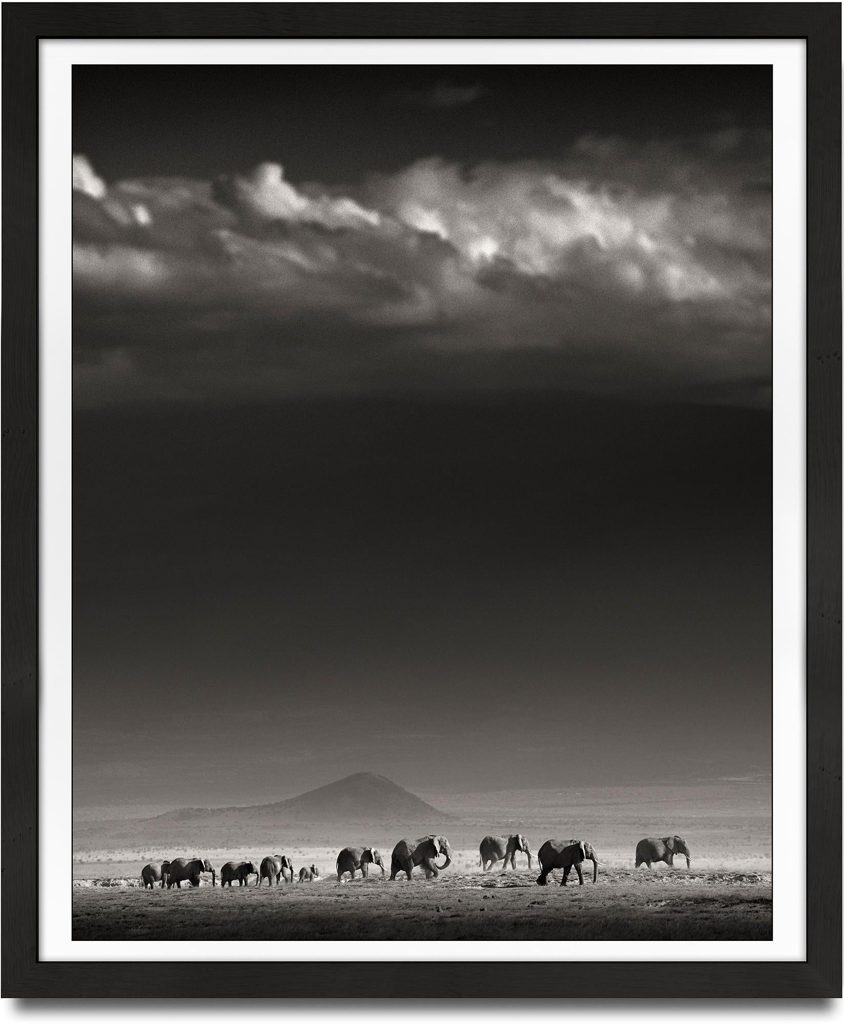 Elephant Family in front of Kilimanjaro, animal, black and white photography - Photograph by Joachim Schmeisser