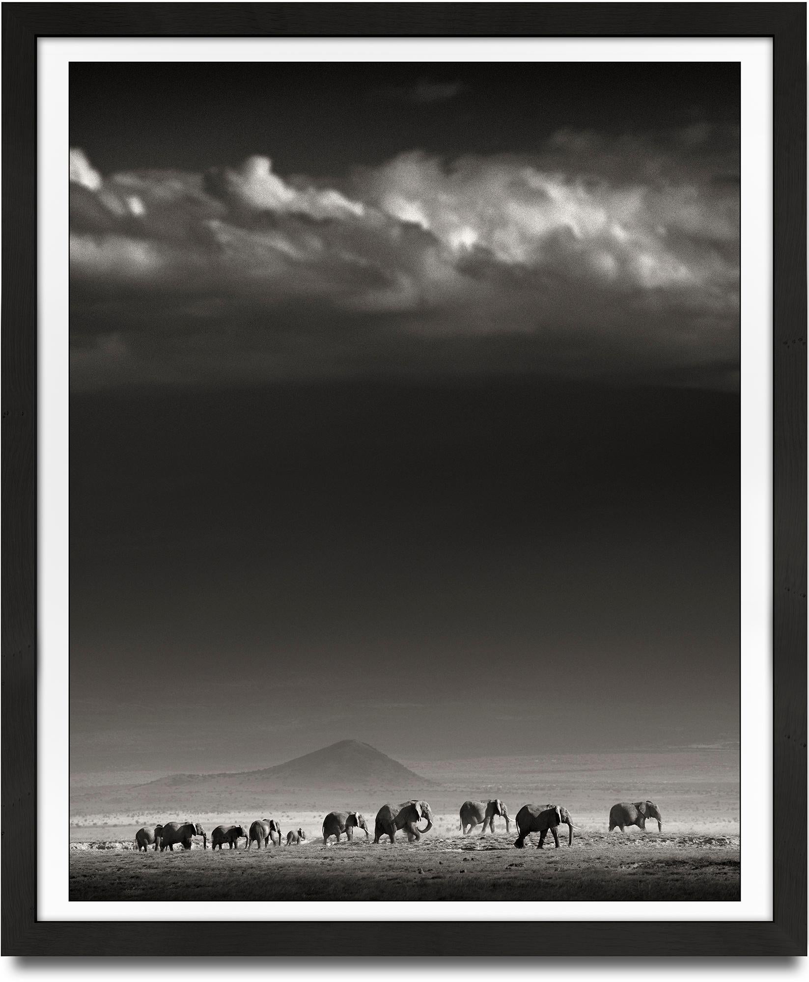 Elephant Family in front of Kilimanjaro, Kenya, b&w photography, wildlife