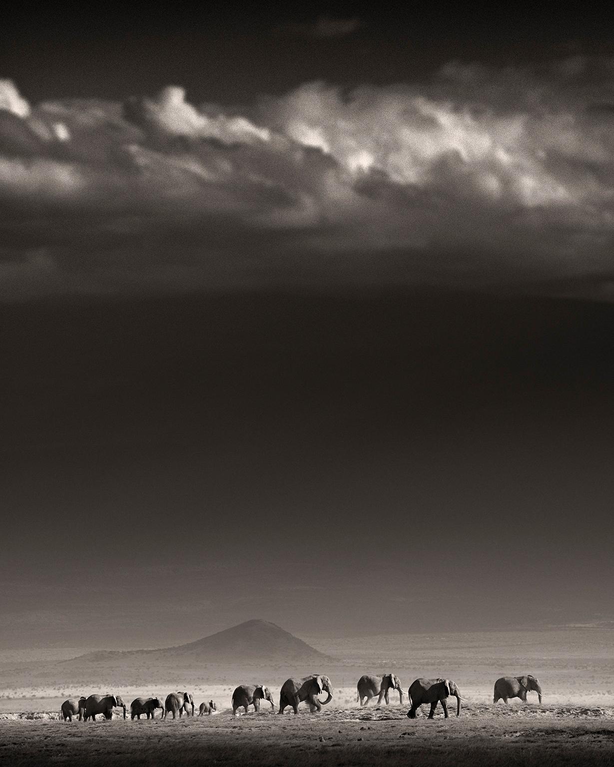 Joachim Schmeisser Landscape Photograph – Elefantenfamilie vor Kilimanjaro, Tier-, Schwarz-Weiß-Fotografie