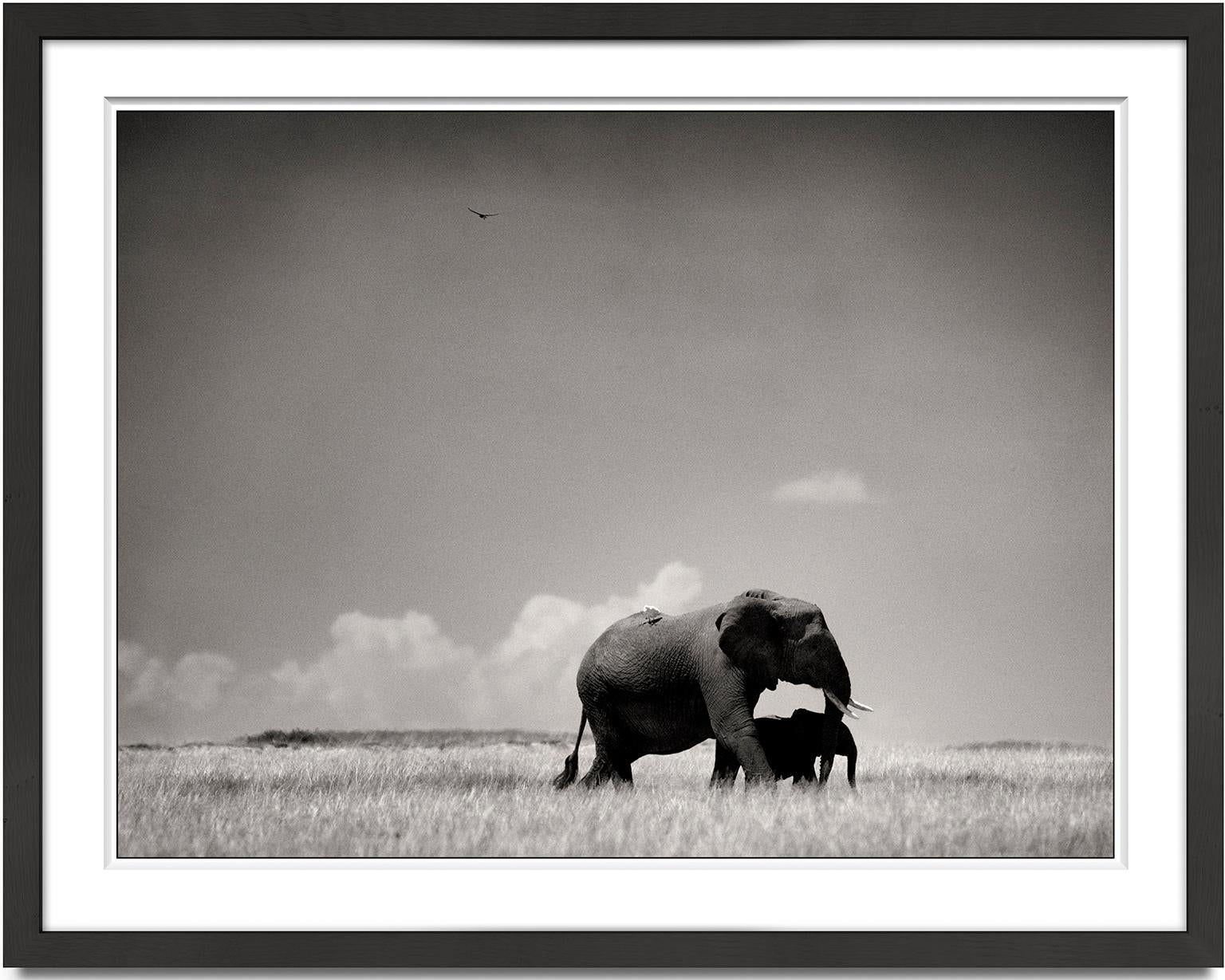 Elephant mother and calf, animal, wildlife, black and white photography, africa - Photograph by Joachim Schmeisser