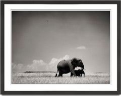 Elephant mother and calf, Kenya, wildlife, black & white photography