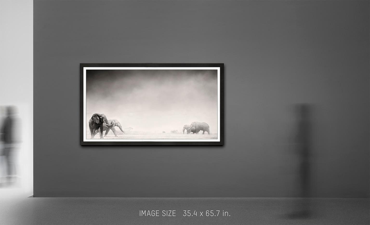 Elephants in the Dust I, Kenya, Elephant, wildlife, b&w photography - Contemporary Photograph by Joachim Schmeisser