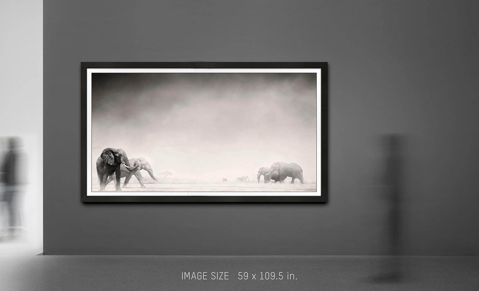 Elephants in the Dust I, Kenya, Elephant, wildlife, b&w photography - Gray Landscape Photograph by Joachim Schmeisser
