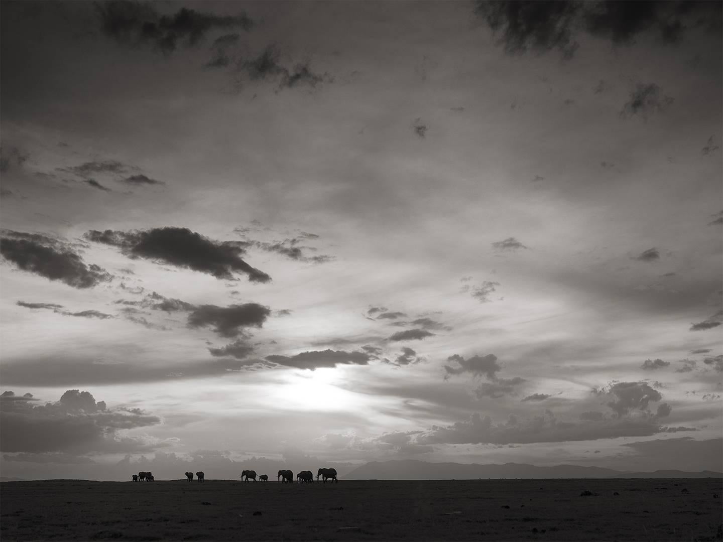 Joachim Schmeisser Black and White Photograph - Elephants in the sunset, Kenya