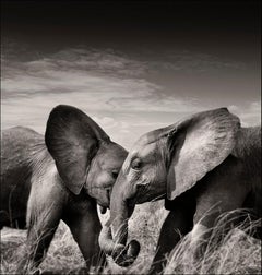 Vintage Elephants - Portrait Of An Elephant Couple, Fine Art Photography
