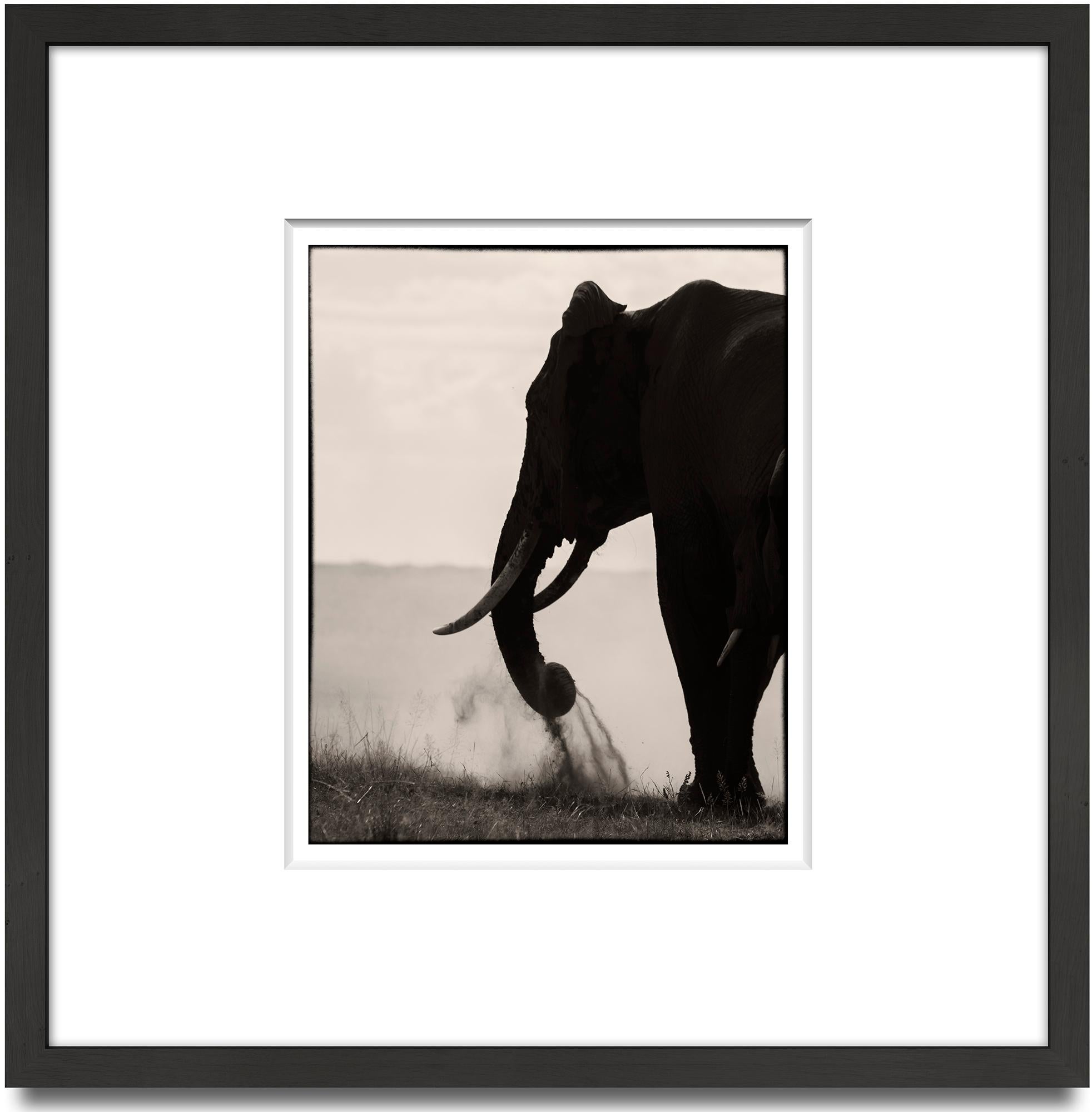 Memory Eternity #1, Kenya 2019, Elefant, Wildtiere, Platin – Photograph von Joachim Schmeisser