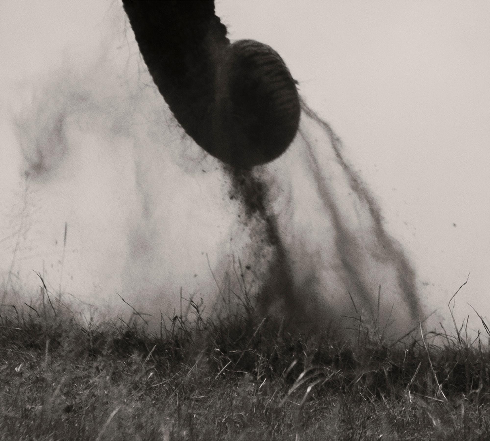 Memory Eternity #1, Kenya 2019, Elefant, Wildtiere, Platin (Beige), Black and White Photograph, von Joachim Schmeisser