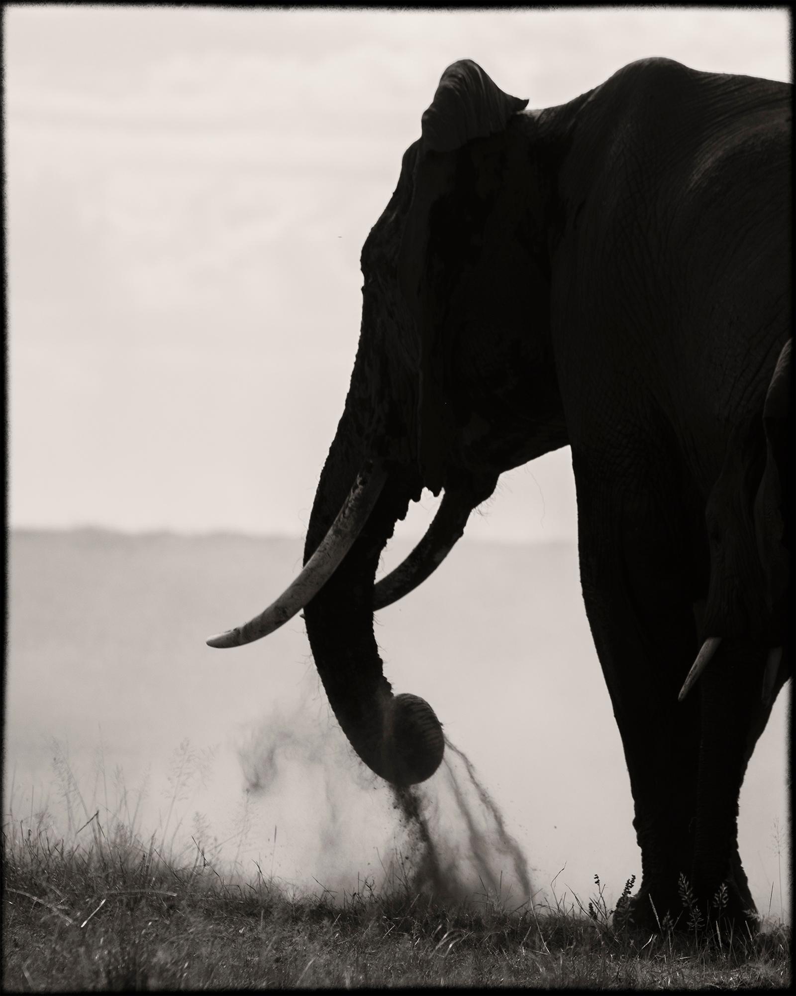 Joachim Schmeisser Black and White Photograph – Memory Eternity #1, Kenya 2019, Elefant, Wildtiere, Platin