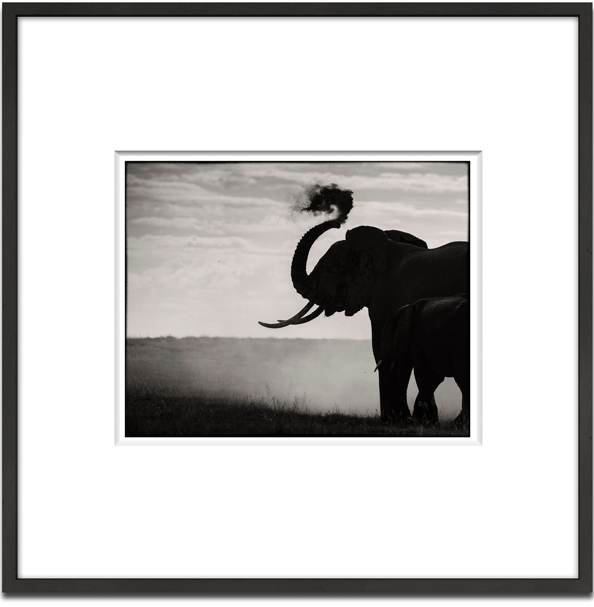 Memory Eternity #2, Kenya 2019, Elefant, Wildtiere, Platin – Photograph von Joachim Schmeisser