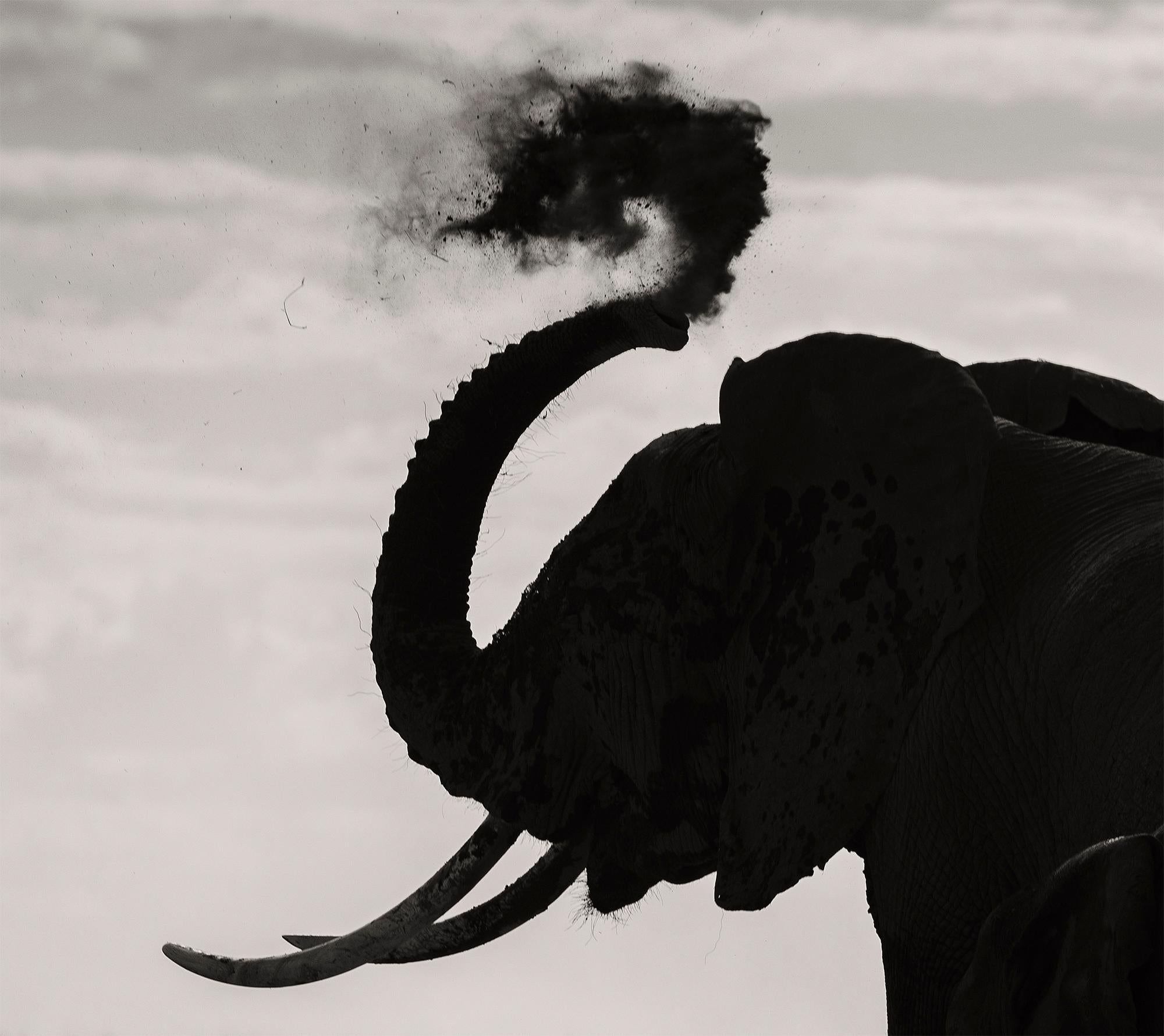 Memory Eternity #2, Kenya 2019, Elefant, Wildtiere, Platin (Grau), Black and White Photograph, von Joachim Schmeisser