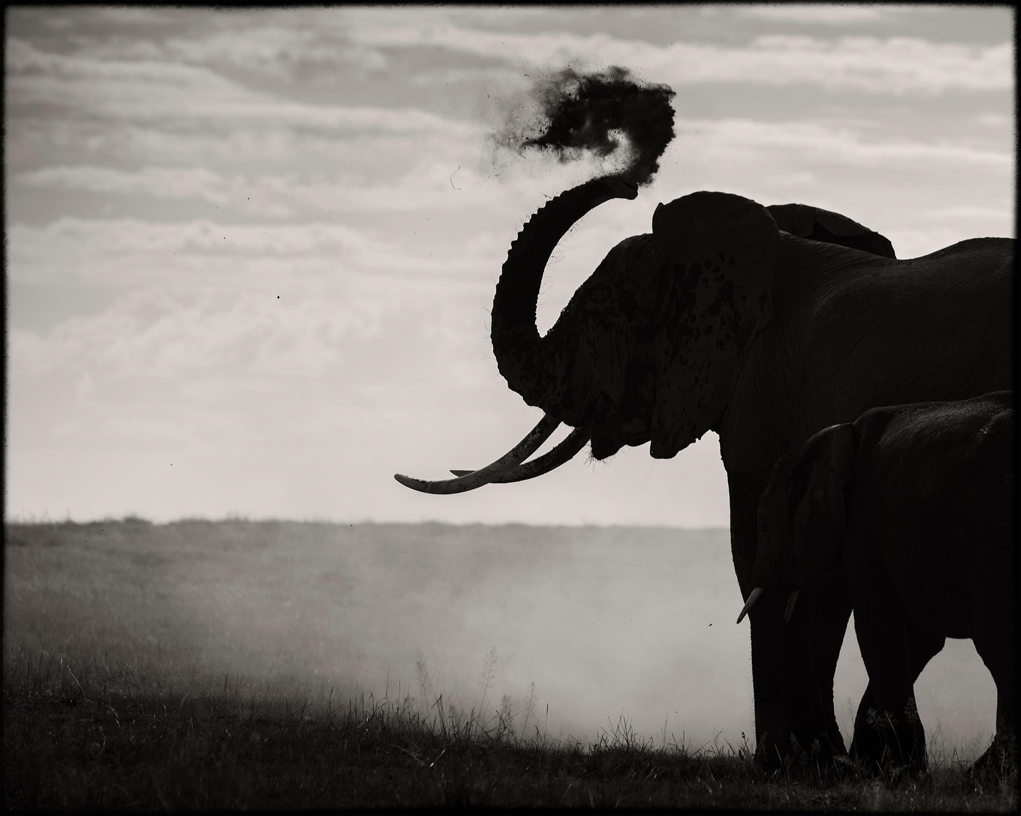 Joachim Schmeisser Black and White Photograph – Memory Eternity #2, Kenya 2019, Elefant, Wildtiere, Platin