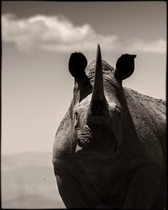 Eternity #9, Kenya 2019, 21st century, contemporary, wildlife