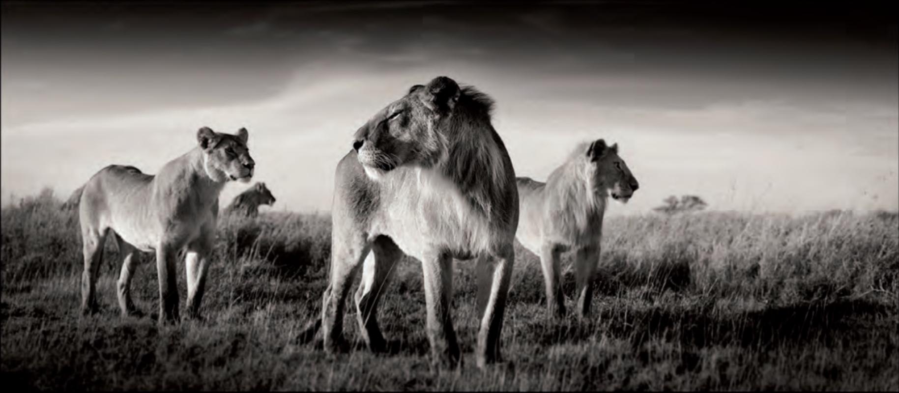 Figurative Photograph Joachim Schmeisser - FAMILY BONDS - Tanzanie, Photographie d'art, 2022