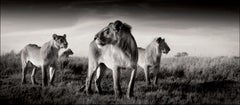 FAMILY BONDS - Tanzanie, Photographie d'art, 2022