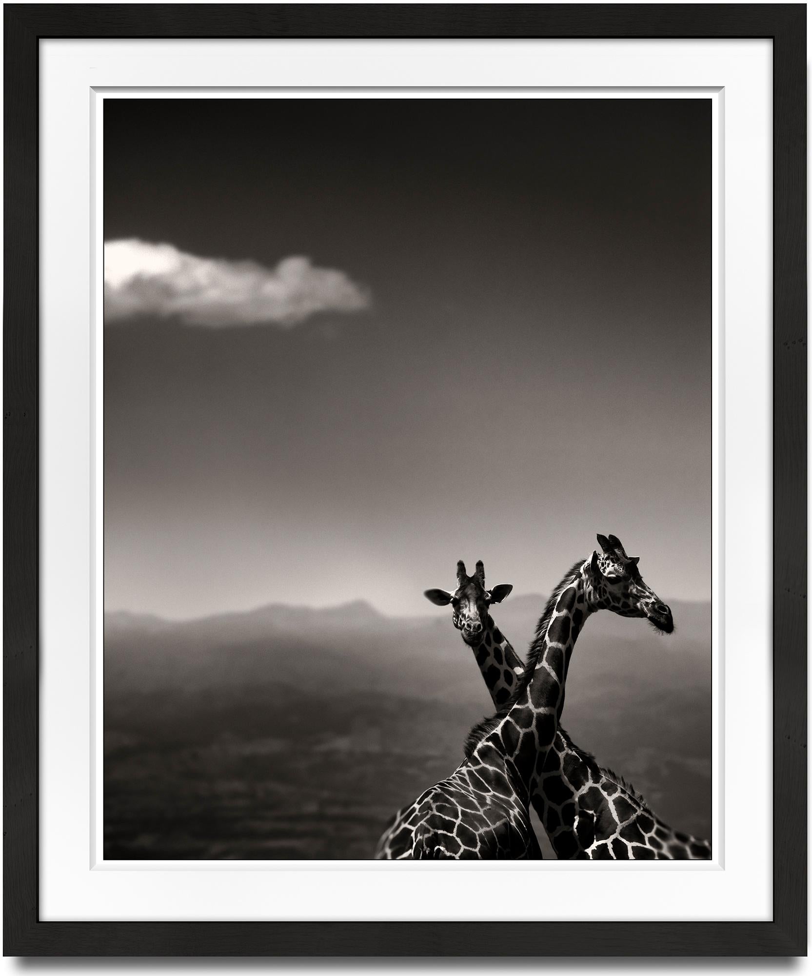 Giraffe Couple, animal, wildlife, black and white photography, africa - Photograph by Joachim Schmeisser