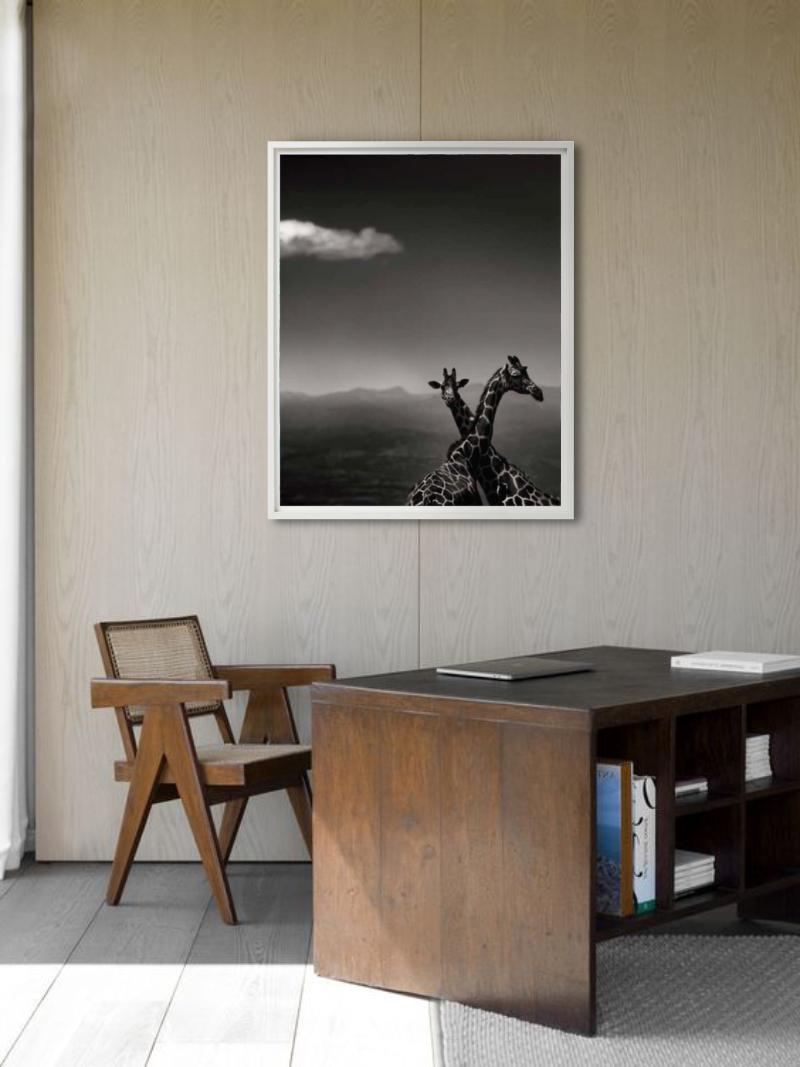 Giraffenpaar – mit Bergen und Wolken, Kunstfotografie, 2019 (Zeitgenössisch), Photograph, von Joachim Schmeisser