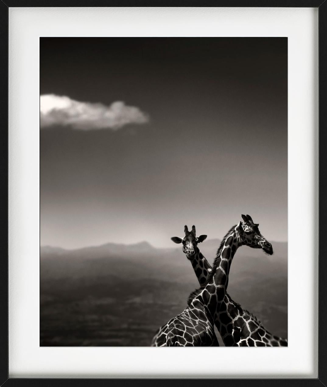 Giraffenpaar – mit Bergen und Wolken, Kunstfotografie, 2019 (Schwarz), Black and White Photograph, von Joachim Schmeisser