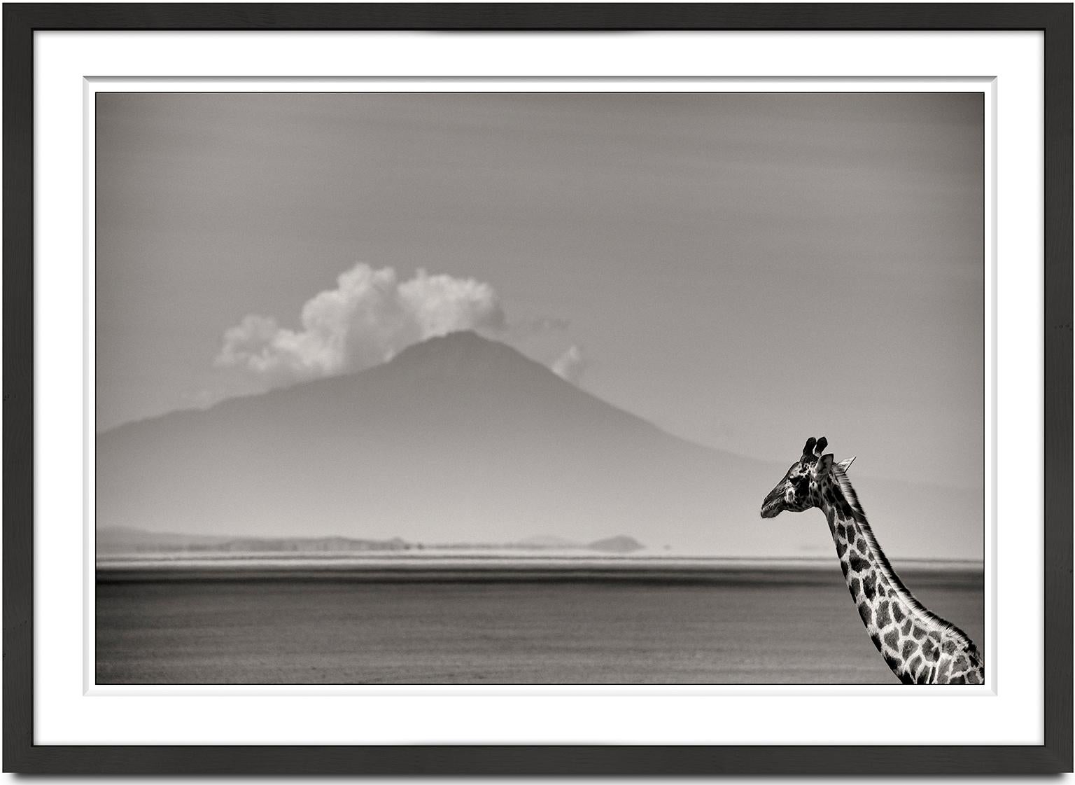 Giraffe in front of MtKenya, animal, wildlife, black and white photography - Photograph by Joachim Schmeisser