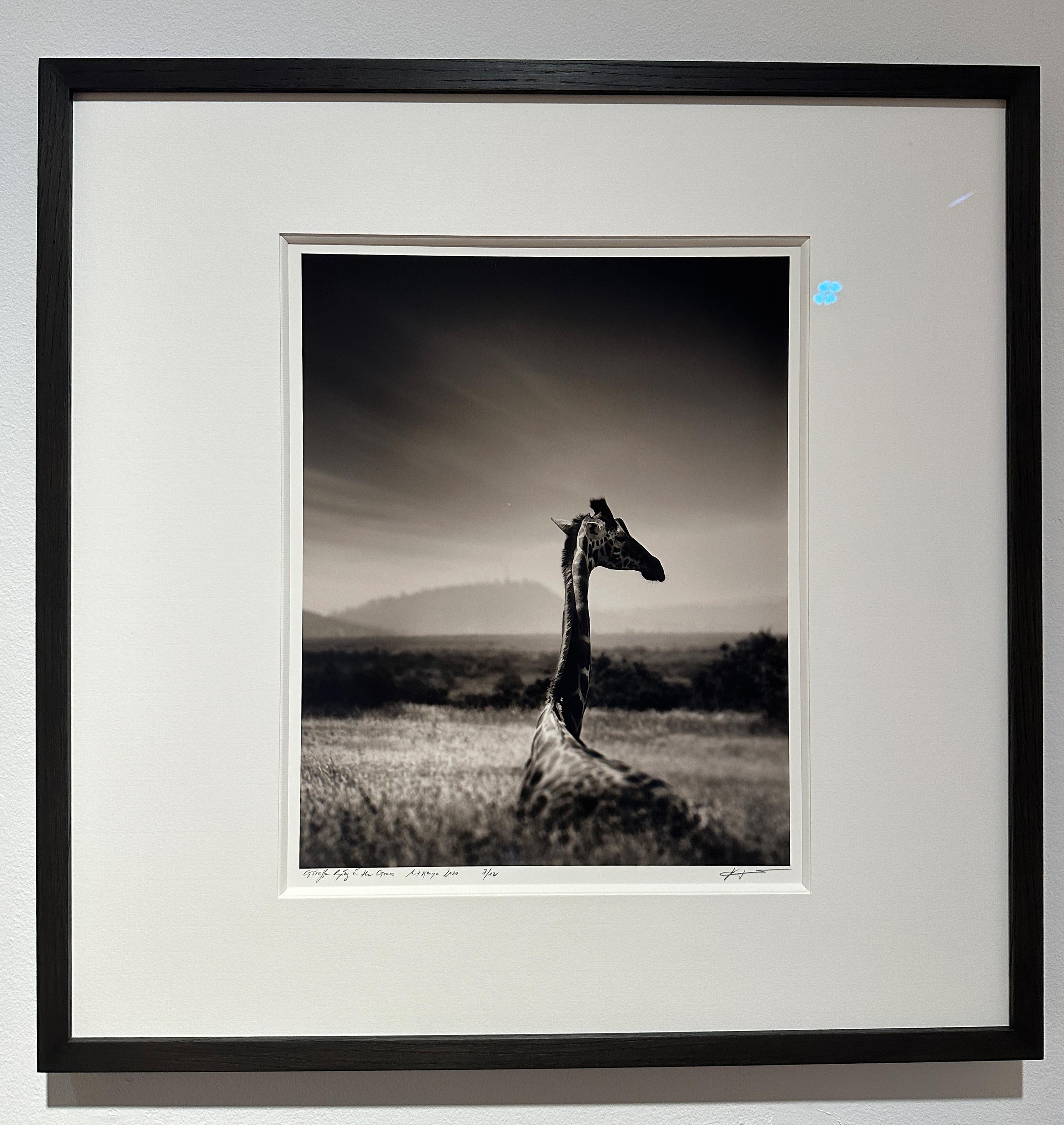 Giraffe in grass, Giraffe, animal, Africa, black and white photography - Photograph by Joachim Schmeisser