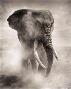 Black and White Photography