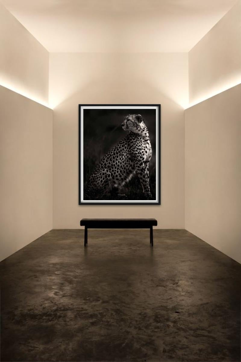 Imani II - Amboseli, Photographie d'art, 2020 - Noir Black and White Photograph par Joachim Schmeisser