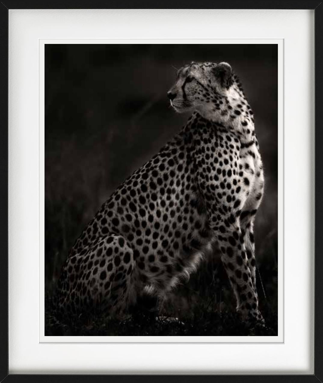 Imani II - Amboseli, Photographie d'art, 2020 en vente 2