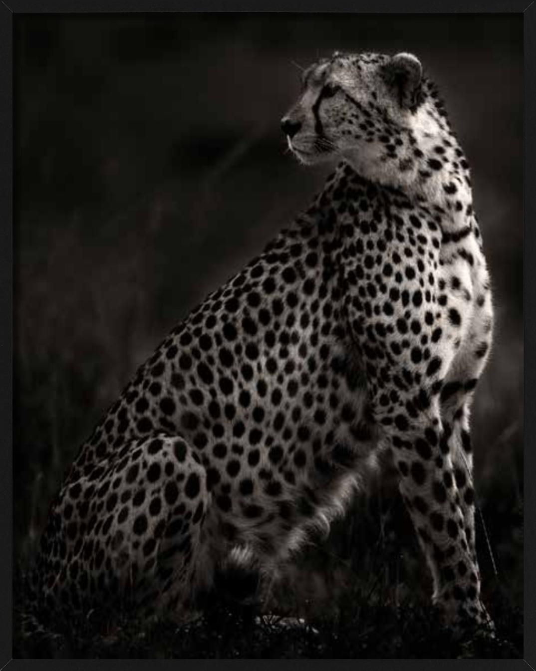 Imani II - Amboseli, Photographie d'art, 2020 en vente 3