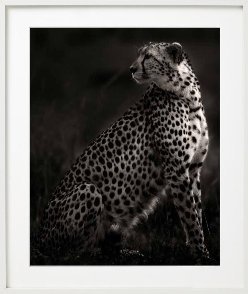 Imani II - Amboseli, Photographie d'art, 2020 en vente 5