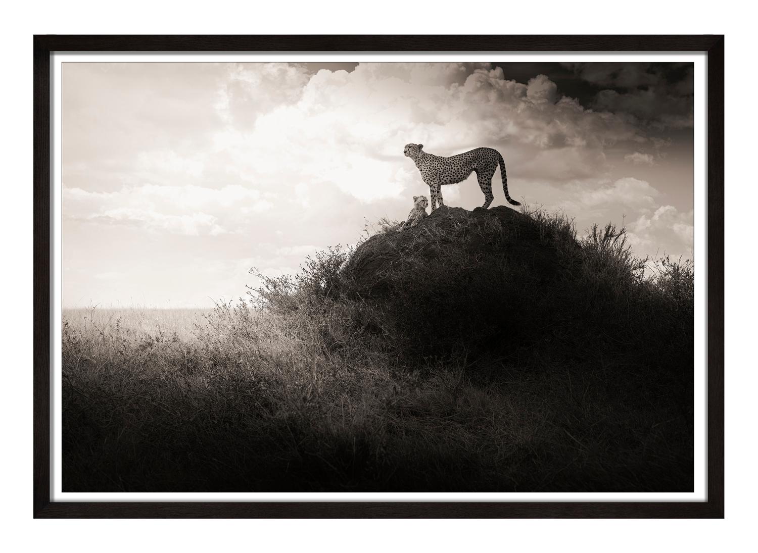 Lean on Me, zeitgenössisch, Schwarz-Weiß, Tier, Afrika, Fotografie, Cheetah – Photograph von Joachim Schmeisser
