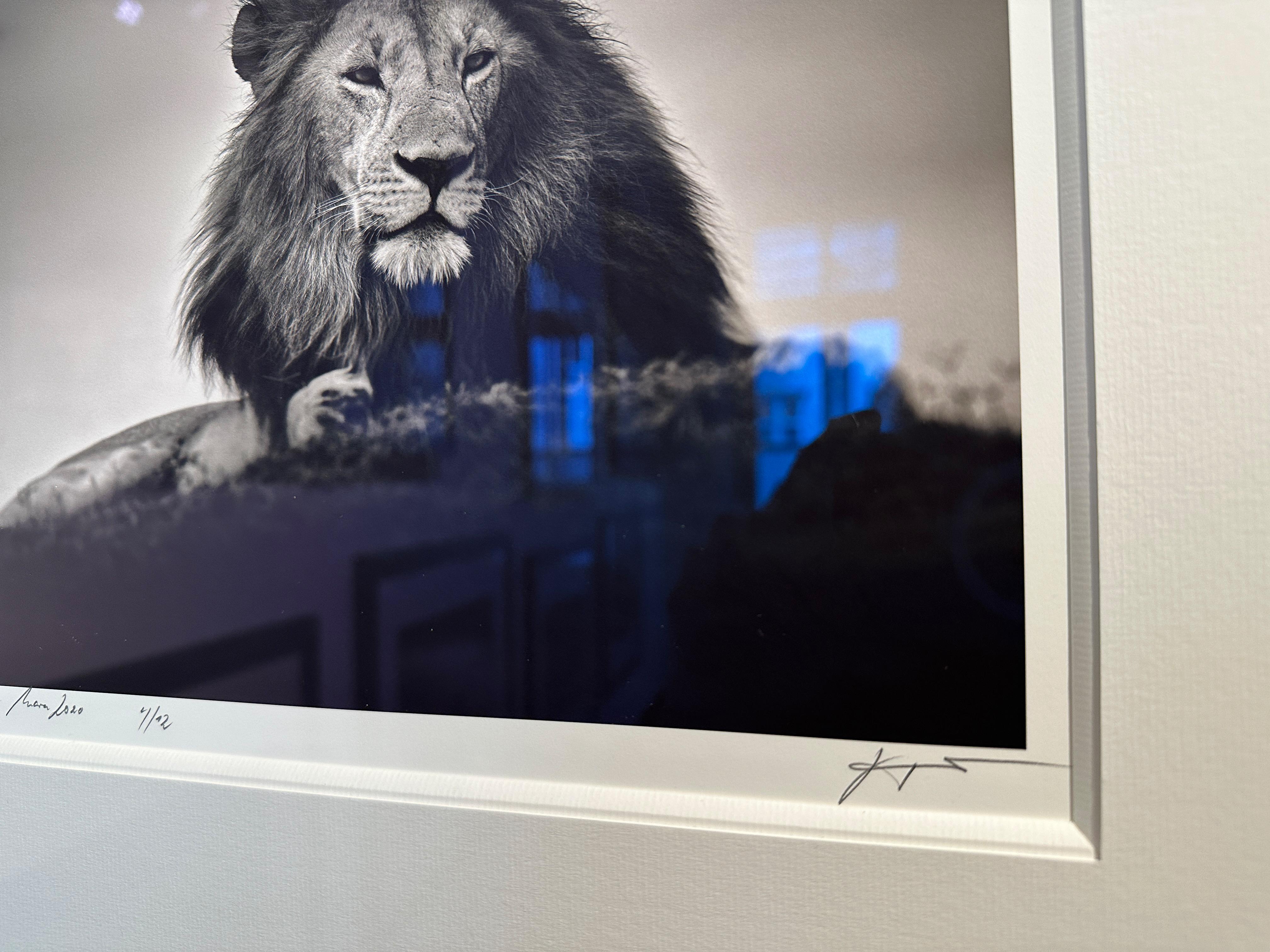 Ausgabe Nr. 4/12
Bildgröße 28 x 28 cm
signiert und nummeriert
Gerahmt mit Passepartout und Antireflexglas

Porträt eines männlichen Löwen in Kenia, Masai Mara.

Joachim Schmeisser wird von führenden Galerien weltweit vertreten. Seine Fotografien