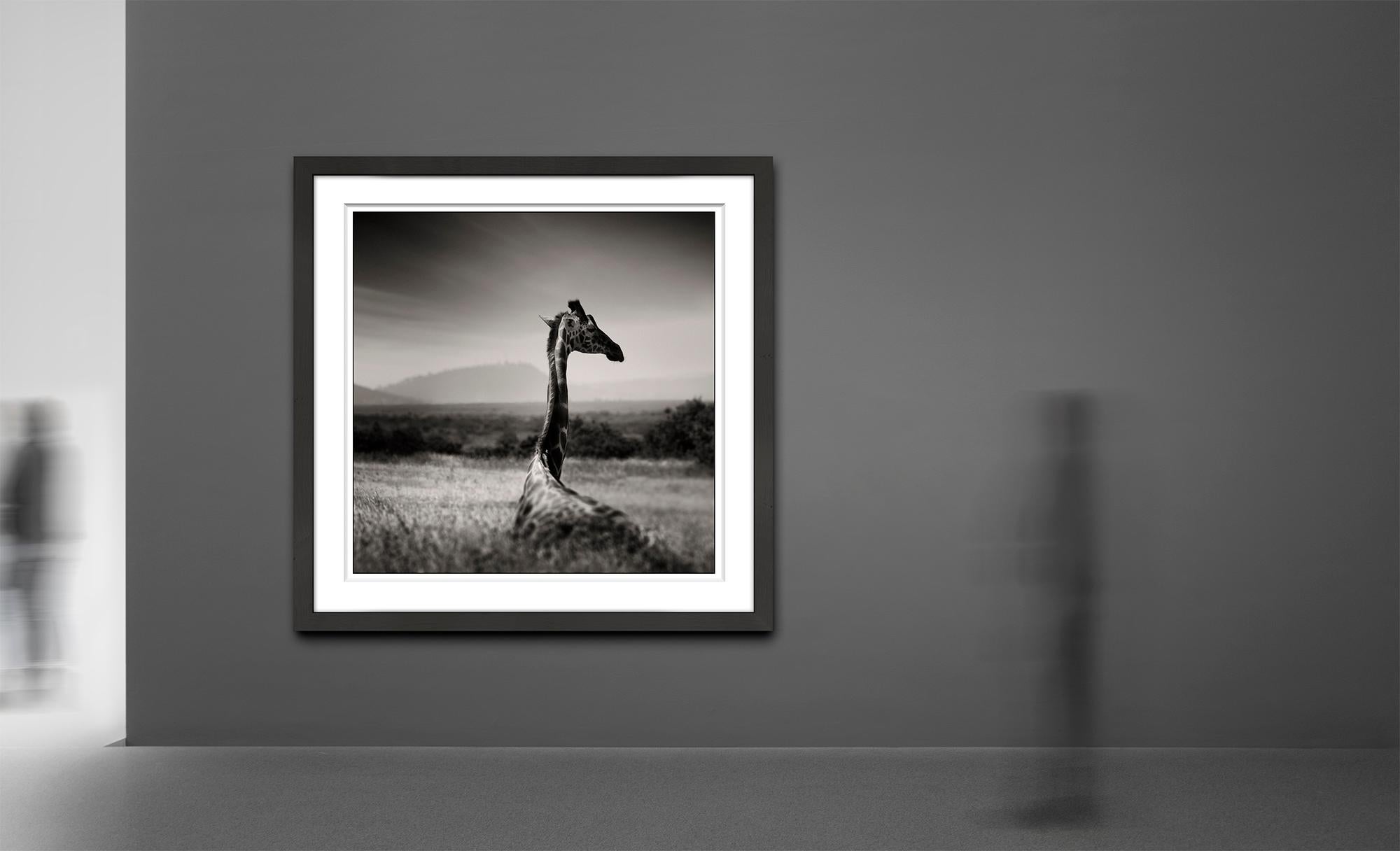 Lying Giraffe, animal, wildlife, black and white photography, africa - Contemporary Photograph by Joachim Schmeisser
