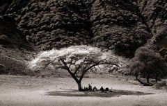 Landscape Photography