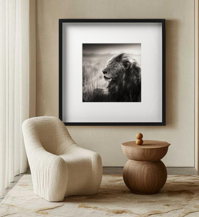 MORANI - Portrait d'un lion, Diptych Fine Arts en vente 5