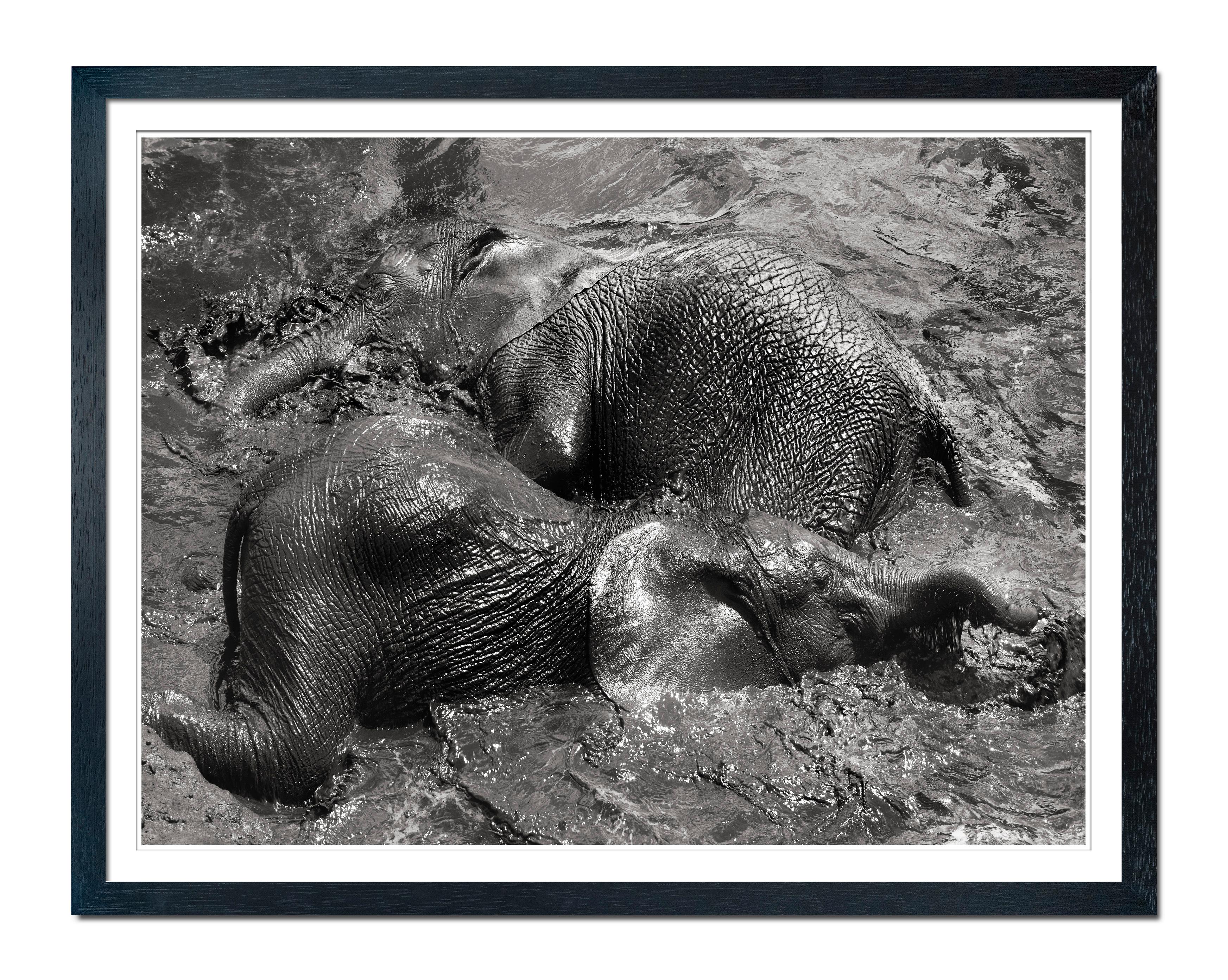 Mudbath III, Elefant, Tier, Tierwelt, Schwarz-Weiß-Fotografie, Ägypten – Photograph von Joachim Schmeisser
