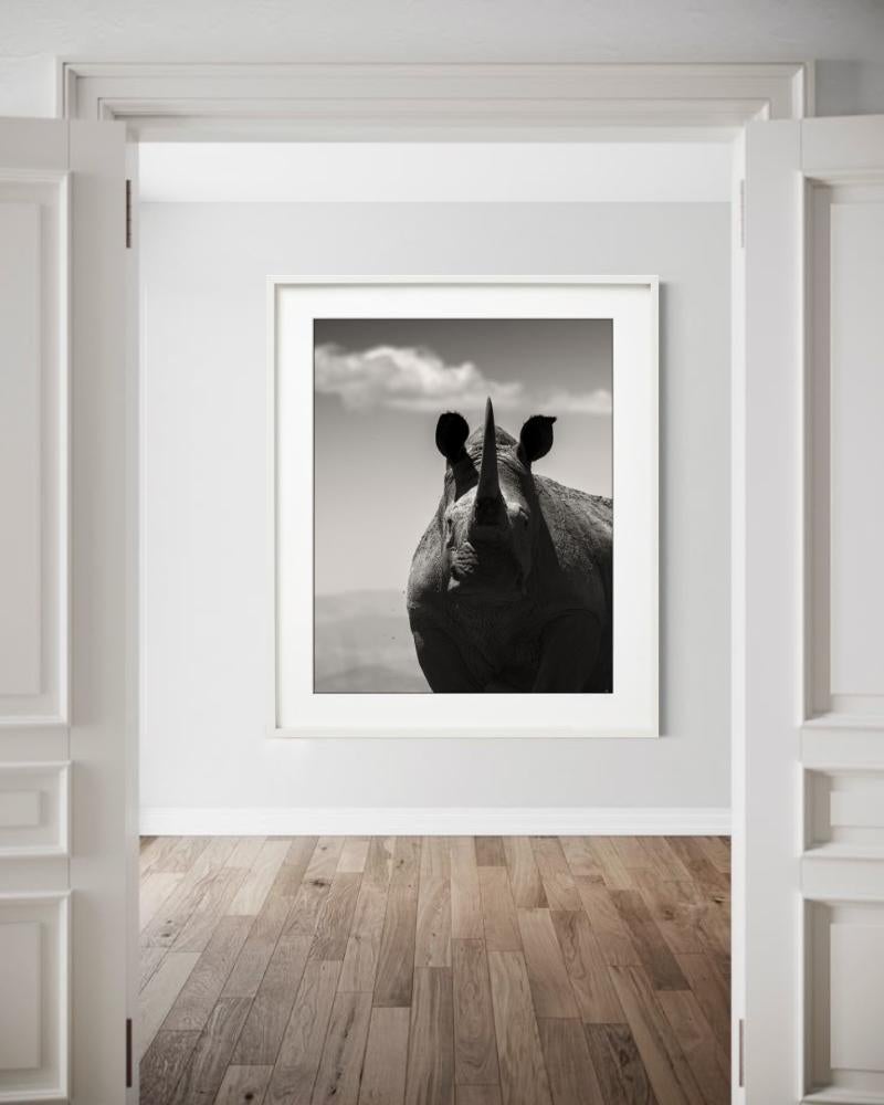 Alma noble, Fotografía artística, 2019 - Photograph de Joachim Schmeisser