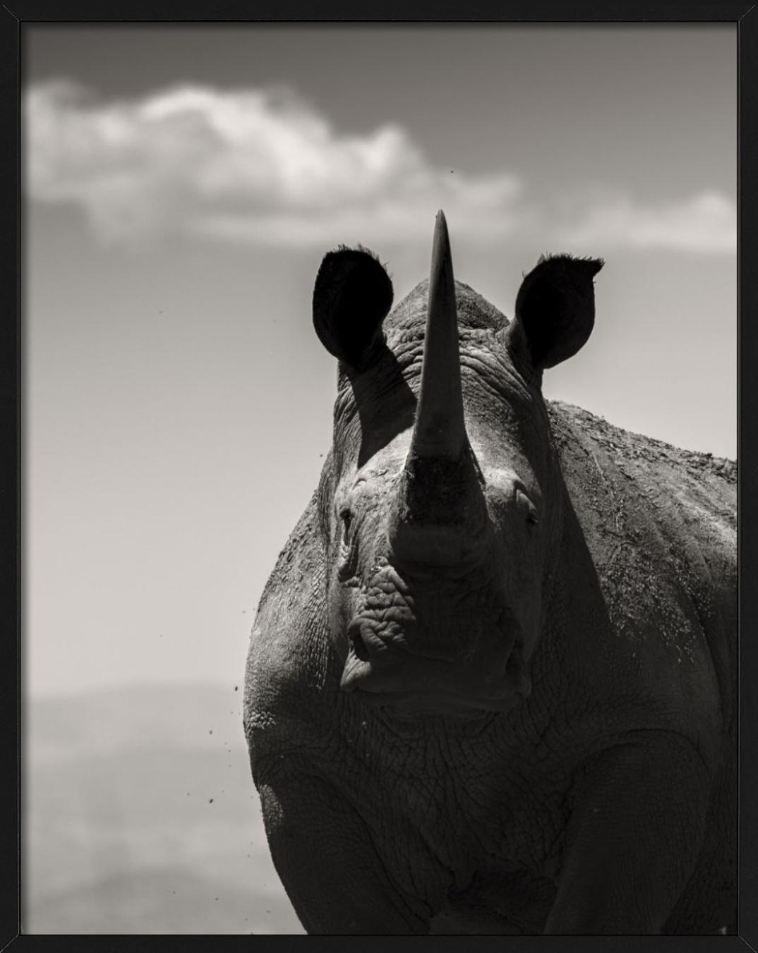 Alma noble, Fotografía artística, 2019 - Photograph Contemporáneo de Joachim Schmeisser