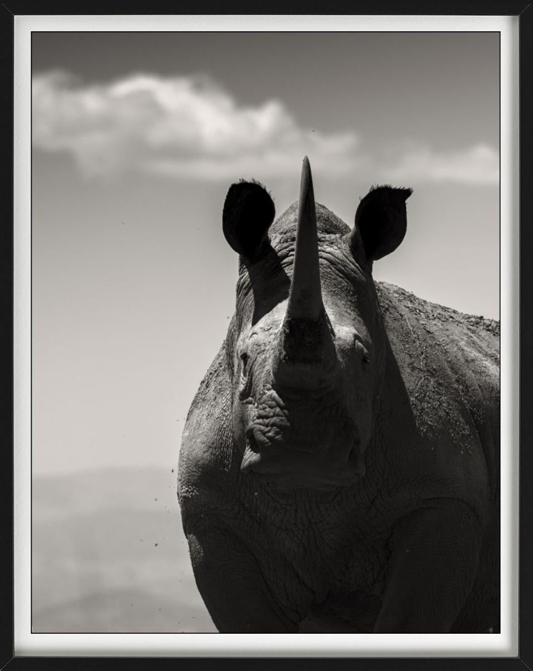 Alma noble, Fotografía artística, 2019 en venta 1