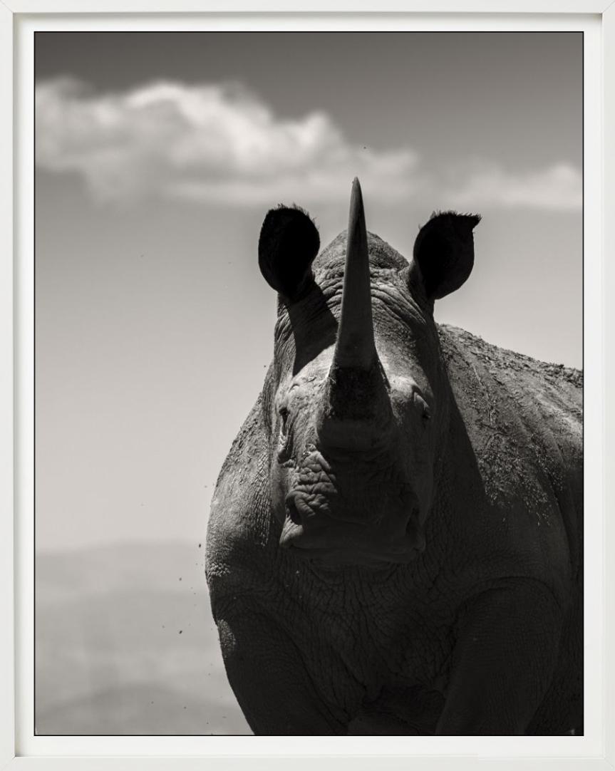 Alma noble, Fotografía artística, 2019 en venta 2