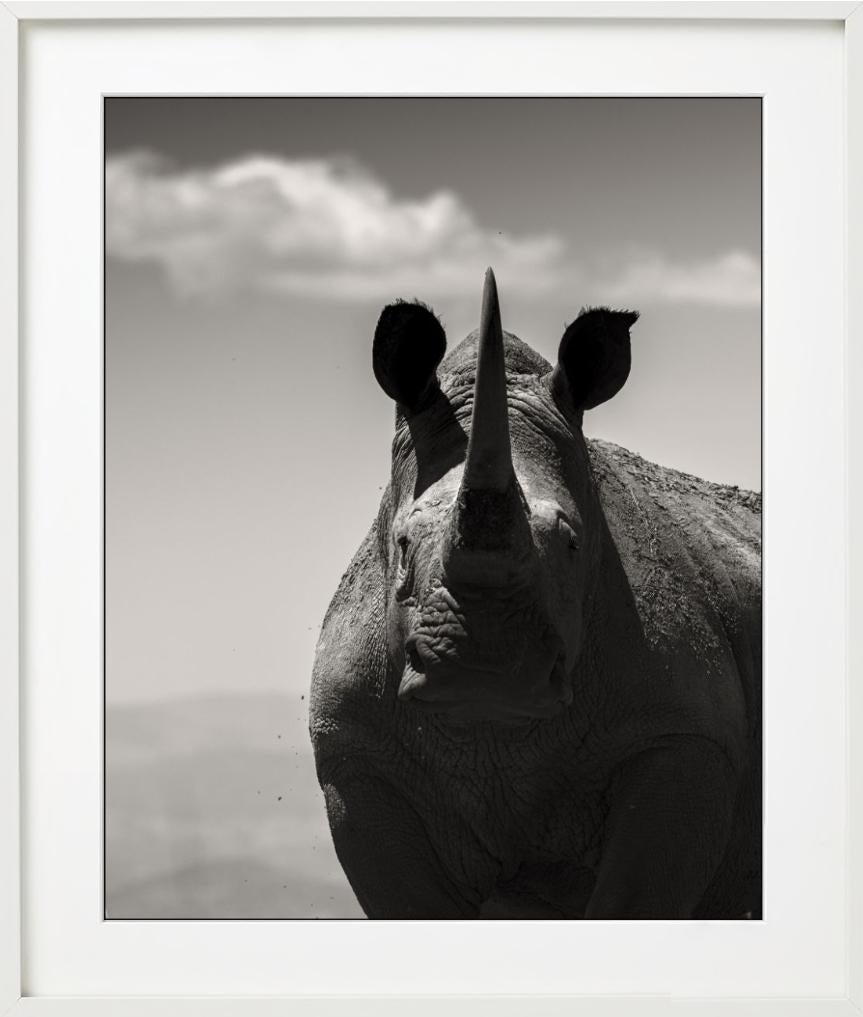 Alma noble, Fotografía artística, 2019 en venta 3